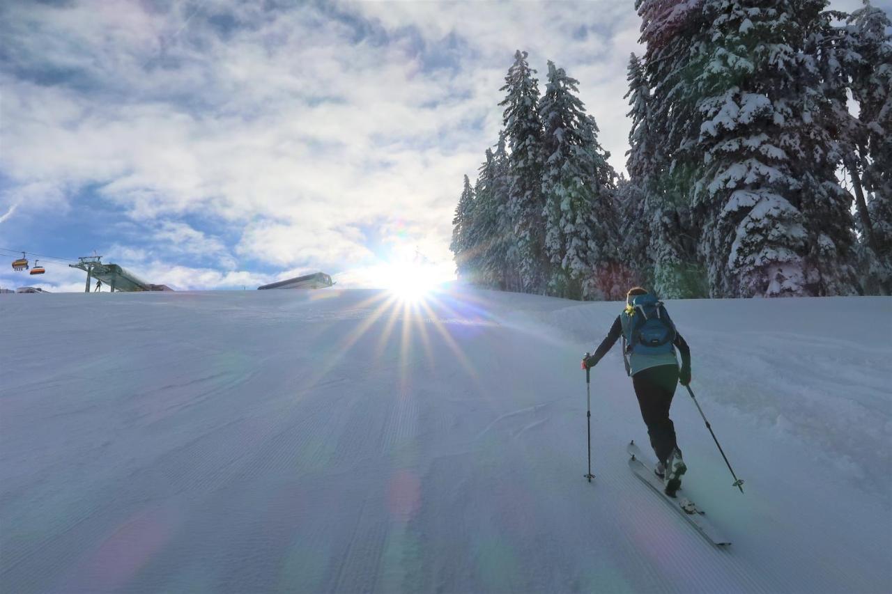 Mountain-Apart Simonhof Apartman Maria Alm am Steinernen Meer Kültér fotó